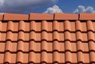 Rubyroof-conversions-4.jpg; ?>